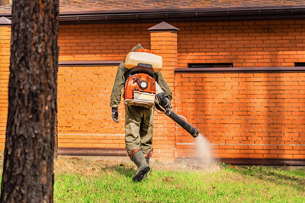 Top rated local Wasp Removal specialists in White City, FL